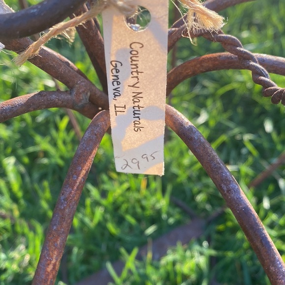 Rusty Wire Pumpkin - Picture 5 of 6